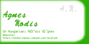 agnes modis business card